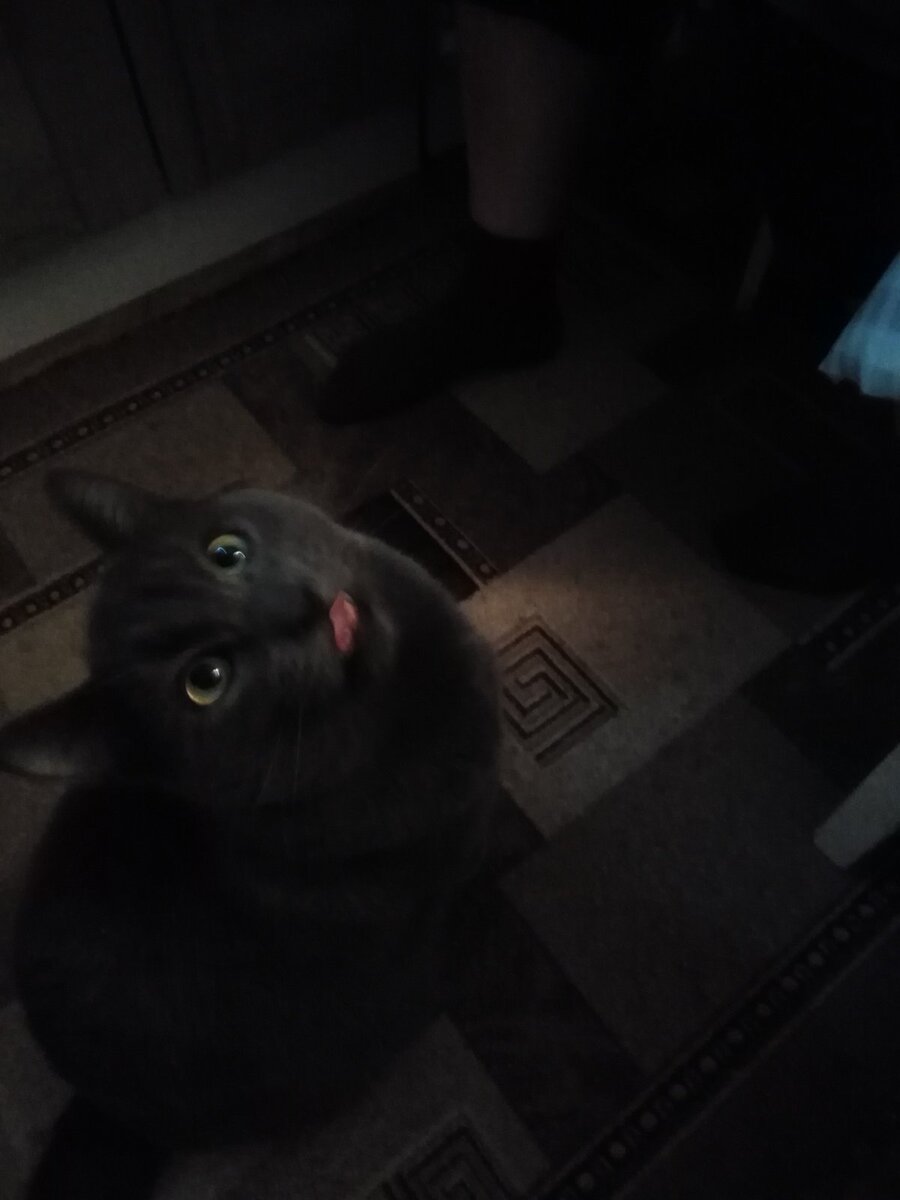 Здесь я явно что-то увидел! Правда, не помню что.😅 Можете придумать подпись.