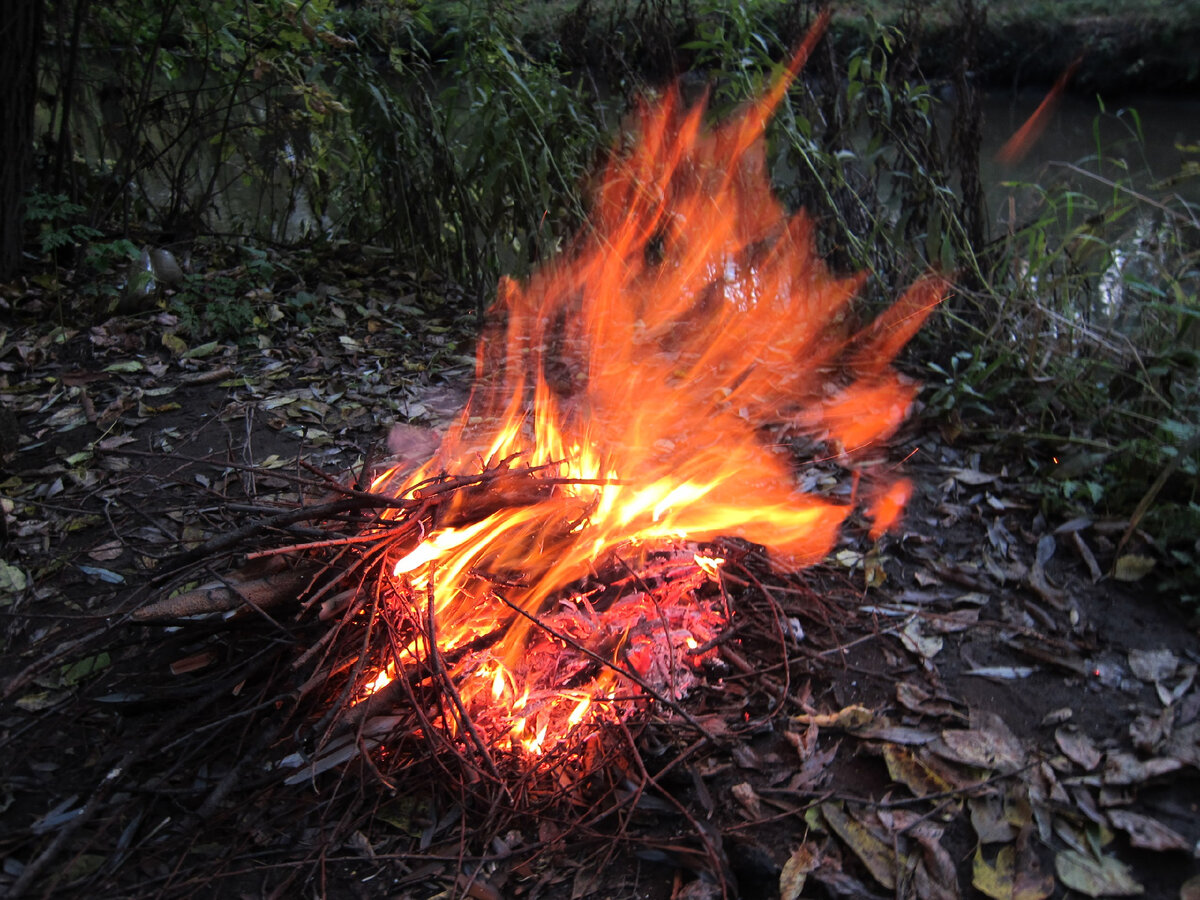 Фото из личного архива