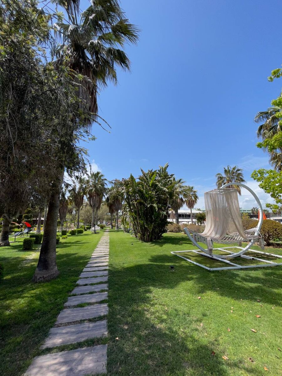 море утром. море солнце пляж. песочный пляж. рассвет на море. пляж закат.