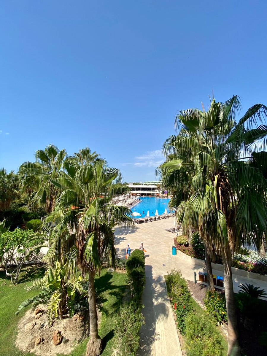 "Едем с детьми, посоветуйте хороший недорогой отель с горками и ...