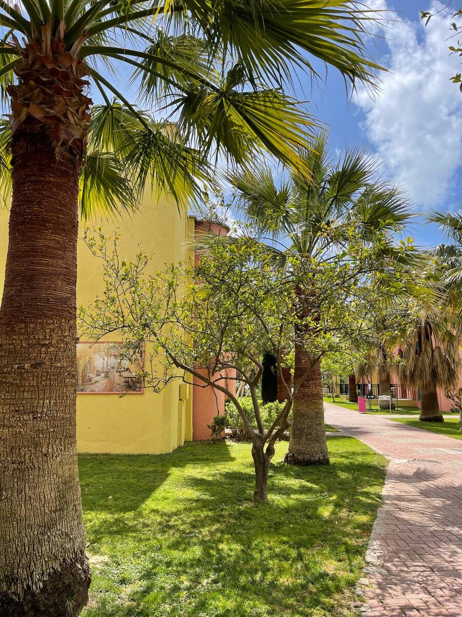 оханск пляж. песчаный берег словосочетание. песчаный берег словосочетание. море пляж. балтийское море польша дюны.