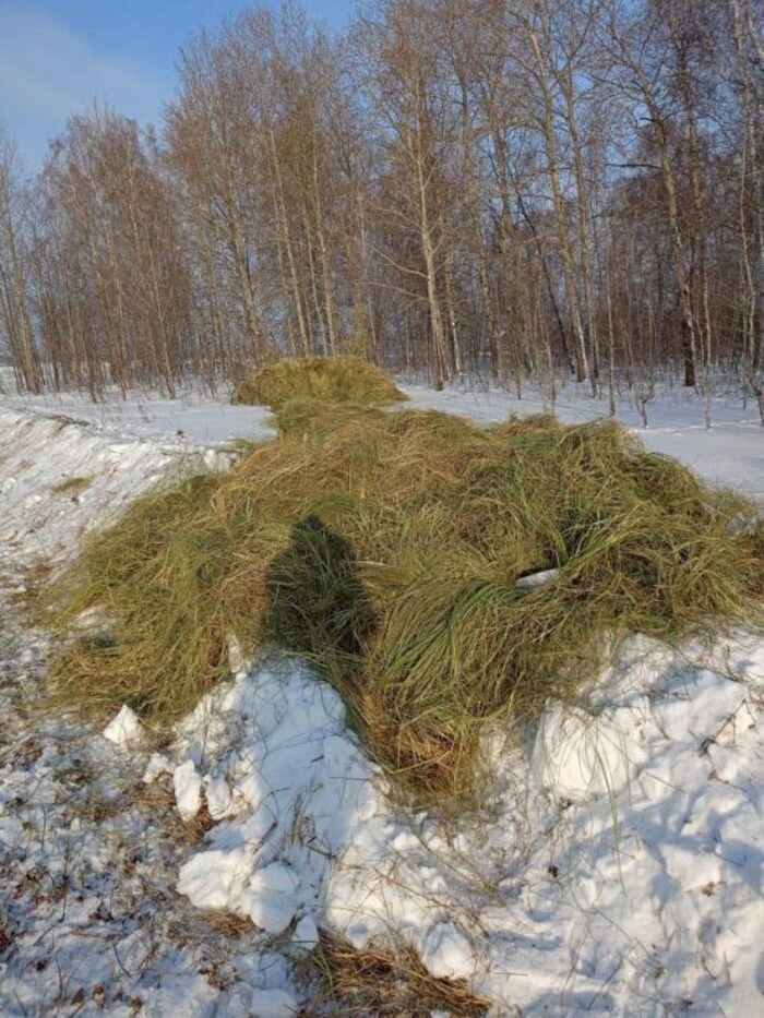 Источник фото: t.me/monprirodi/