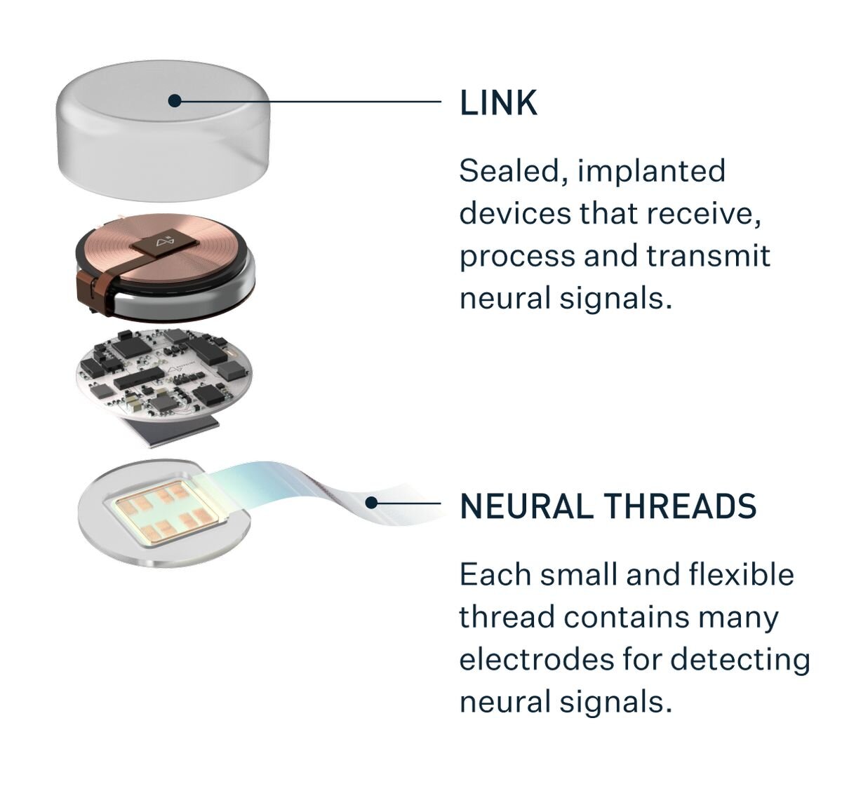 Neuralink маск. N1 Neuralink чип. Neuralink - чипы маска.