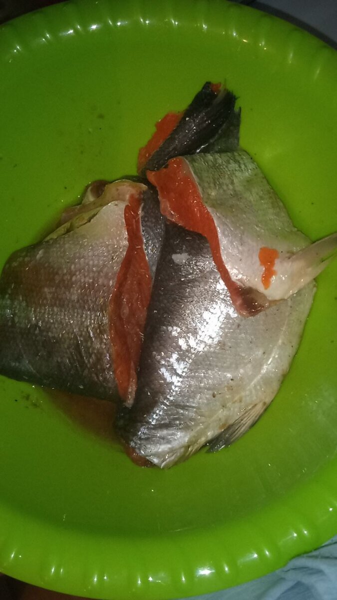 можно соленую рыбу. селедка тихоокеанская олюторская. можно соленую рыбу. можно соленую рыбу. кижуч малосольный.