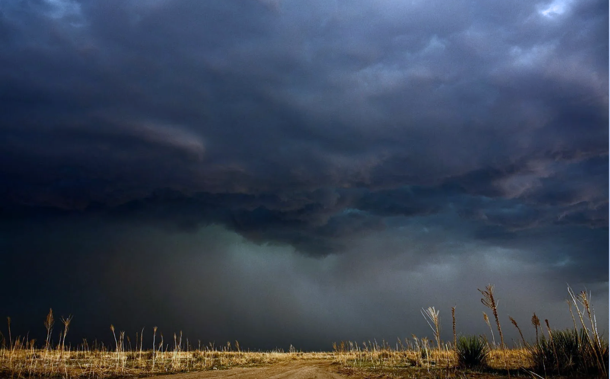 Крутые повороты скажи кукушка 22. Крутые повороты скажи кукушка 22. Гифка скажи кукушка. Обыкновенная кукушка. Кукушка.