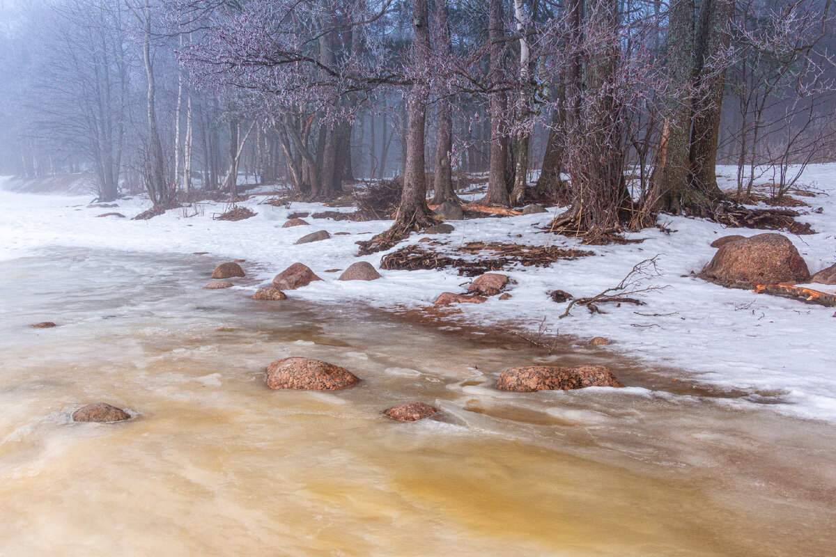 Зимняя прогулка по побережью Финского залива в Комарово | Фотограф ...