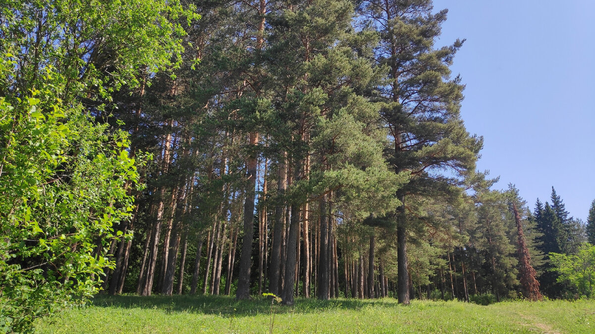 От Биомеда до Черного озера.