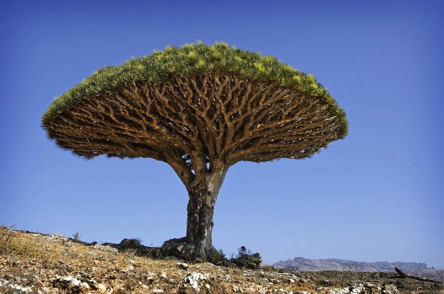 Таинственный остров земля. Таинственный остров земля. Путешествие 2: таинственный остров сиквел. Таинственный остров земля. Фильм путешествие к центру земли 2 таинственный остров.