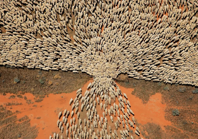 Не умел и не использовал. Афоризмы пьер буаст. Труп твоего врага. Смешные рассказы из жизни. Пьер буаст фото.