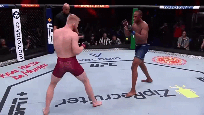 Бо Никал выигрывает контракт с UFC на шоу Даны Вайта "Претендент"