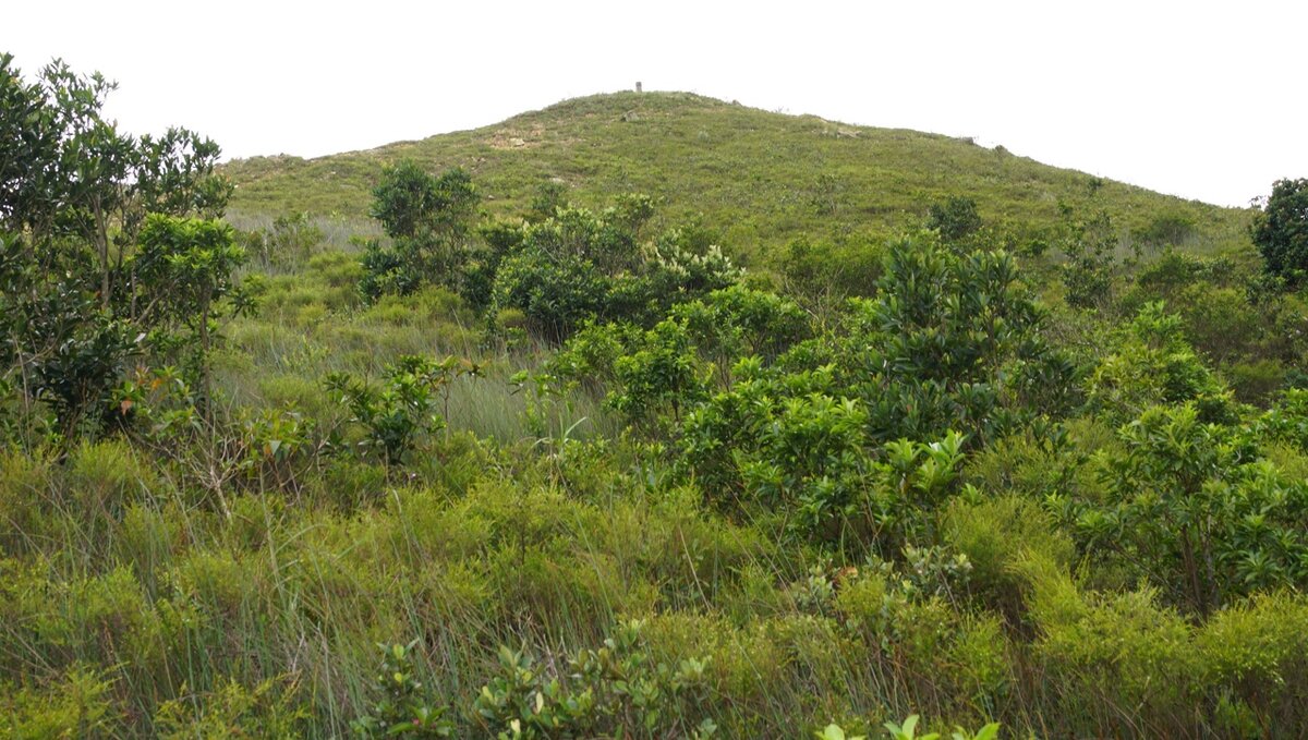 Стихотворение о масленице русских поэтов. М. Михаил лермонтов посреди небесных тел. Стихотворение м ю лермонтова посреди небесных тел. Лермонтов.