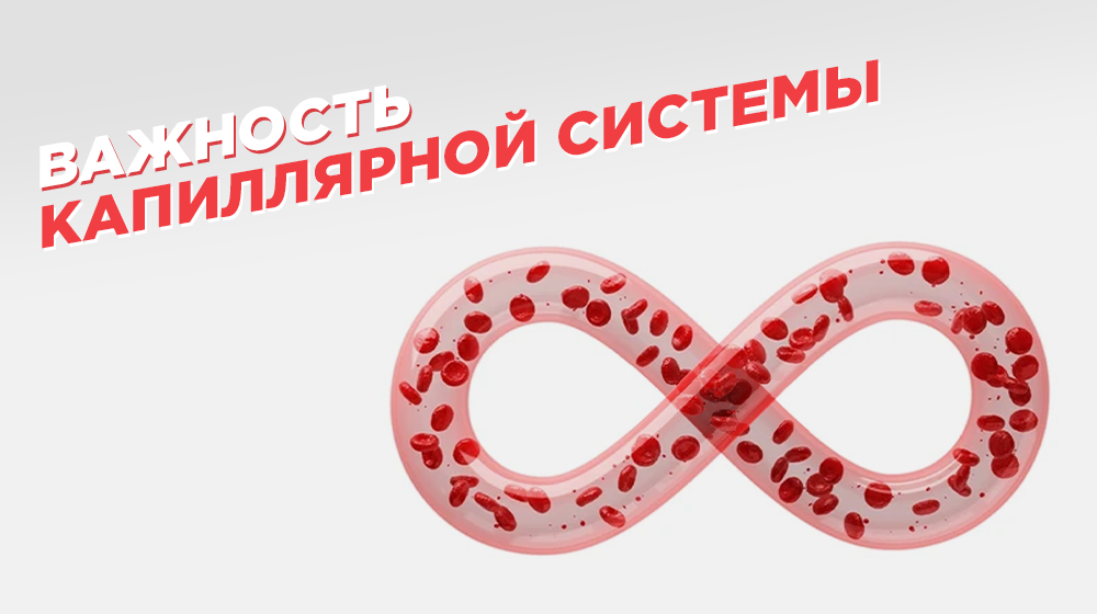Добавьте описание