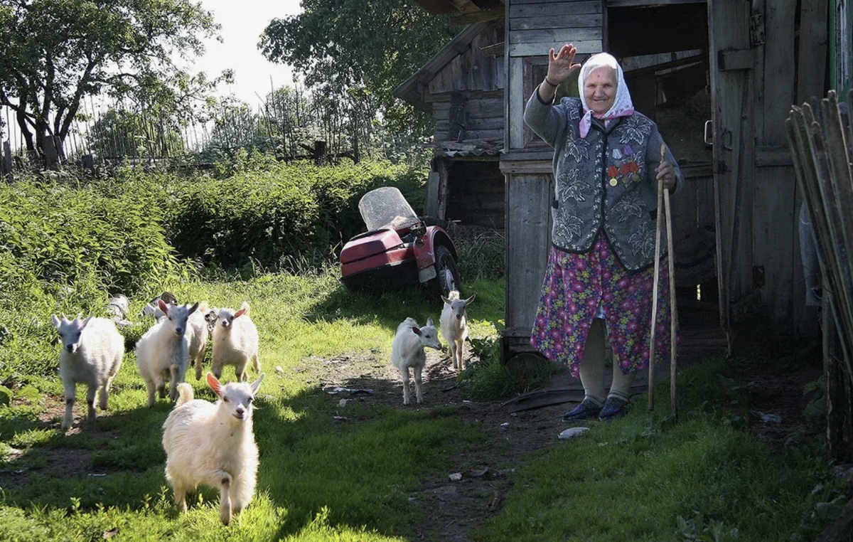 дата основания города владимира. воронеж презентация. дата основания спб петром 1. сообщение о воронеже. город где была создана.