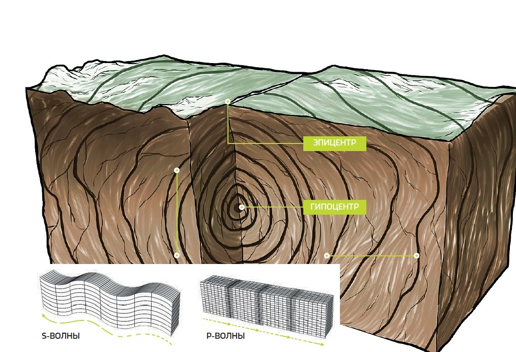 Как называются волны землетрясения