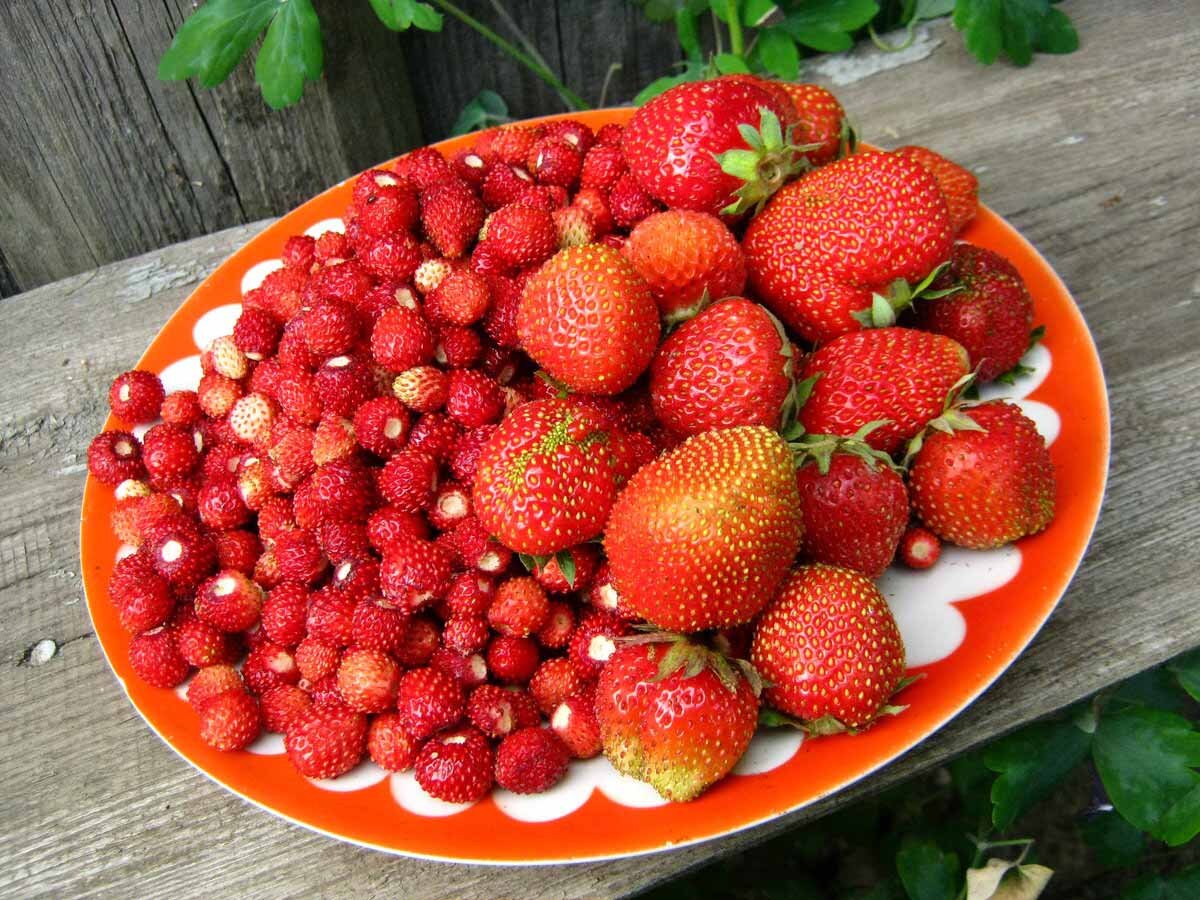 Фото из сети