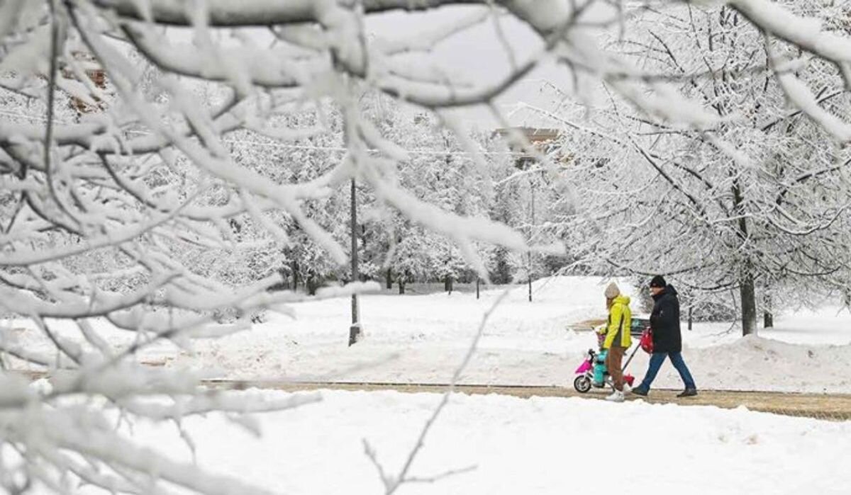 Люди гуляют по улице. Источник: mos.ru Автор фото: Пресс-служба мэра Москвы