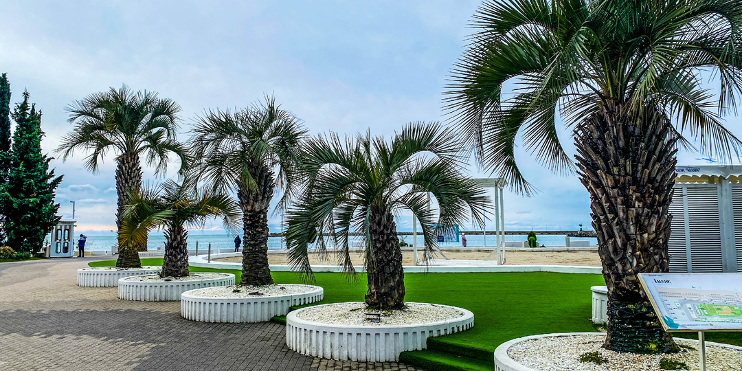 Как бюджетно сейчас съездить в Сочи. Мои траты за три дня