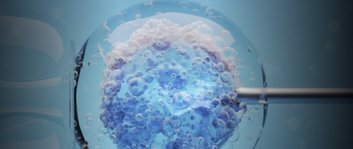 Фото: IVFbabble.com