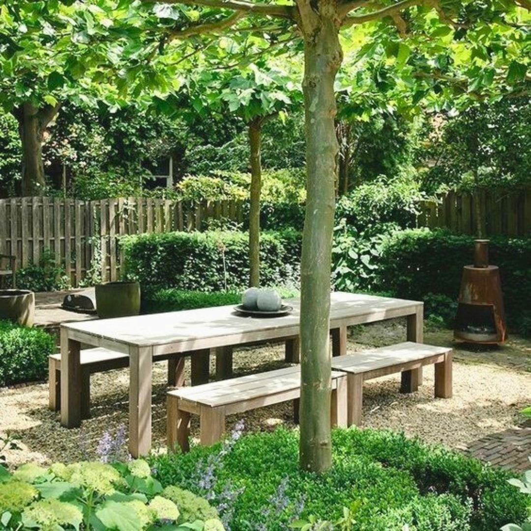 Помимо отдыха. Лето пляж. Помимо отдыха. Лето отпуск. Мальдивы отель furaveri.