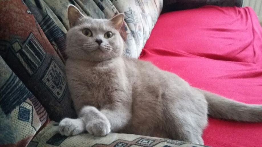 Фото из Интернета.