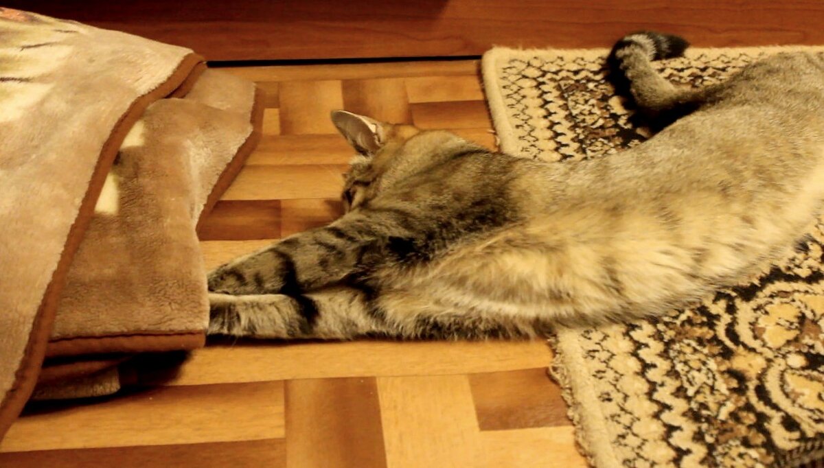 Фото из Интернета.