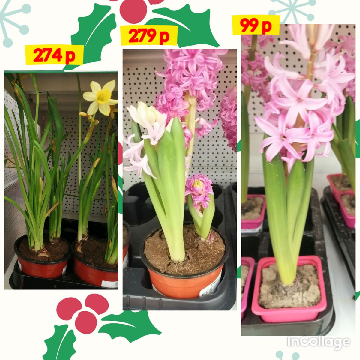 Дом в котором мариам петросян сфинкс. Иллюстрации мрьям петросян. Дом в котором мариам петросян волк. Иллюстрации мрьям петросян. Дом в котором мариам петросян стервятник.