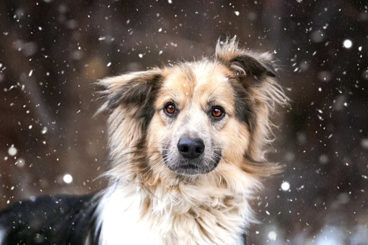 Ах, каков красавец!