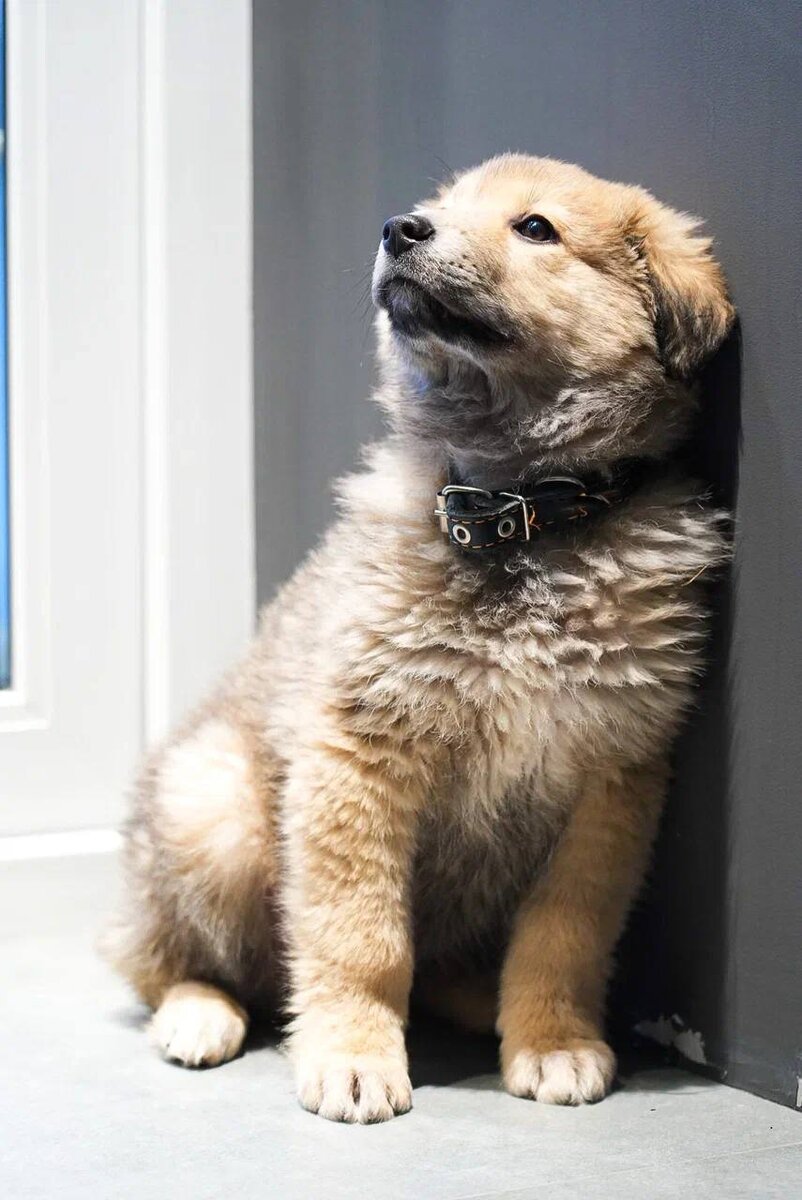 Литтл каприс в постели. Будь скромнее. Скромная сестра. Little caprice в платье. Скромная сестра.