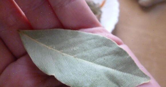 Кстати, лаврушка у меня даже в шкафу лежит - но, как говорится, это совсем другая история 😉.