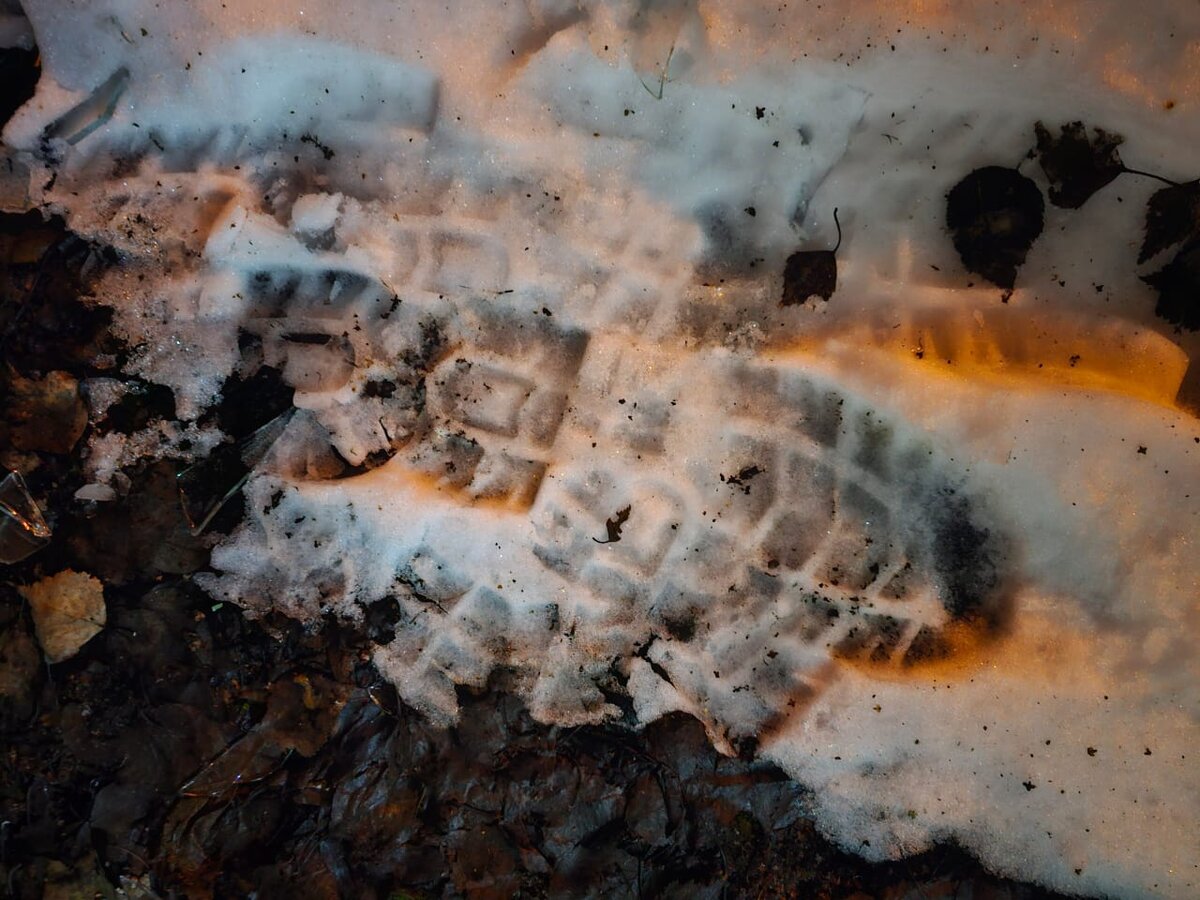 Фото: пресс-служба ГУ Росгвардии по СПб и ЛО