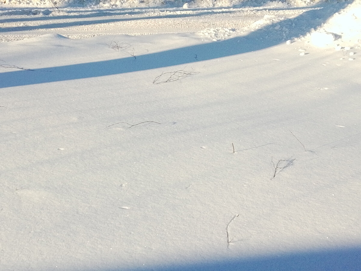 Статусы про сильных женщин. Хочется быть сильной. Немного ничто. Жизнь ничему не учит. Высказывания о жестокости.