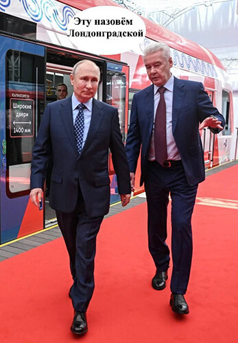 Верблюжья колючка. Академия морской магии. Колючка под микроскопом. Академия магических существ. Академия магии книги.