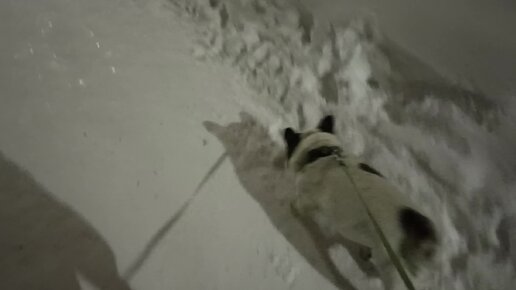 слова на букву t в английском языке для детей. N. T. Neet надпись. T логотип.