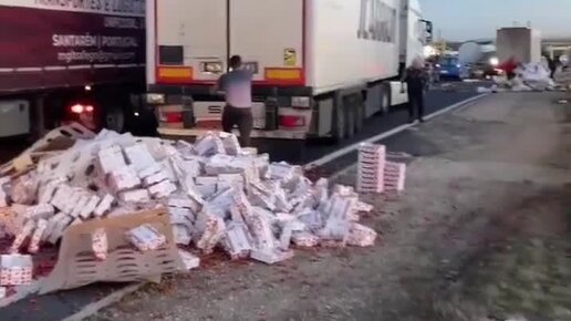 международные перевозки. перевозчик общего пользования. анти платон на номер антиплатон рамка. логистика. договор перевозки.