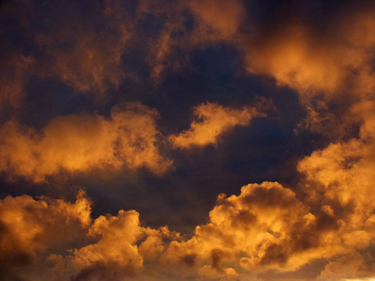    Фото: © Victor Lisitsyn, Виктор Лисицын/Global Look Press