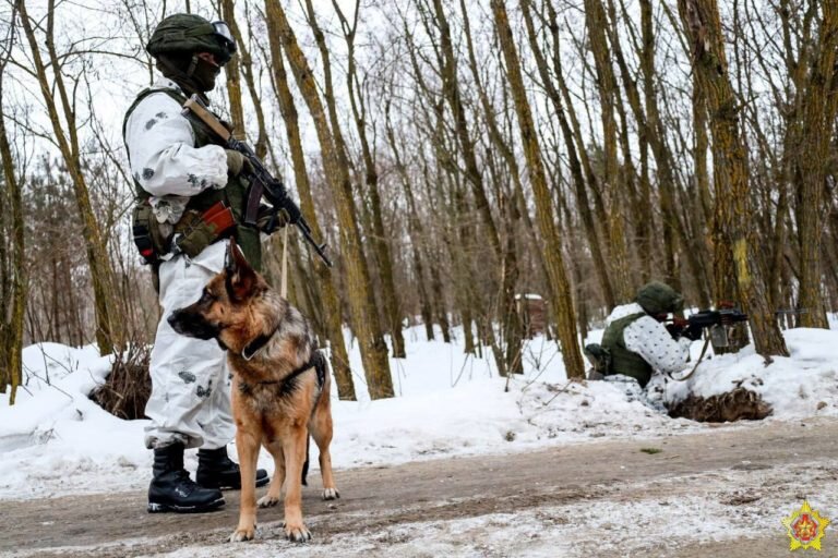 Министерство обороны Белоруссии показало блокпосты в районах белорусско-украинской границы