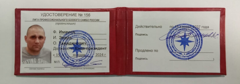 Эмиль Тажидинович Имамов Вице-Президент лиги Боевого самбо России L-1. 