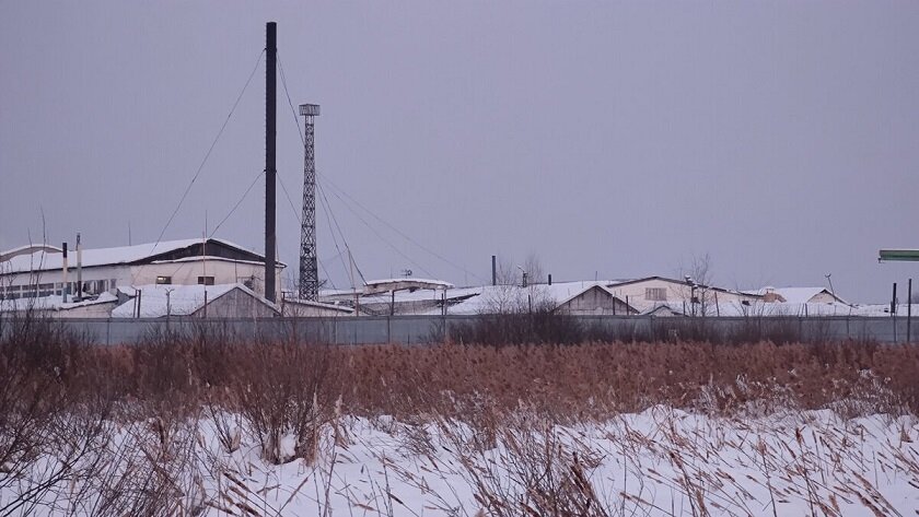 заключенные на сво в украине. колония строгого режима. зона тюрьма. заключенные в колонии. ла модело тюрьма в латинской америке.