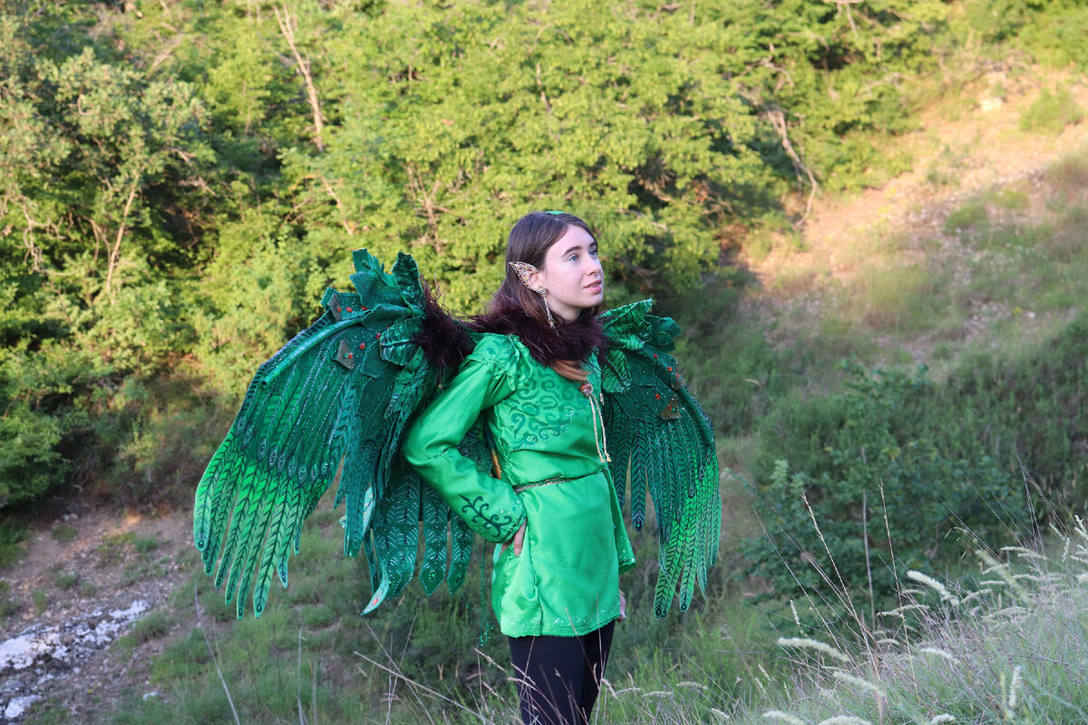 Ориби Каммпирр - Мир моей музы (синопсис)