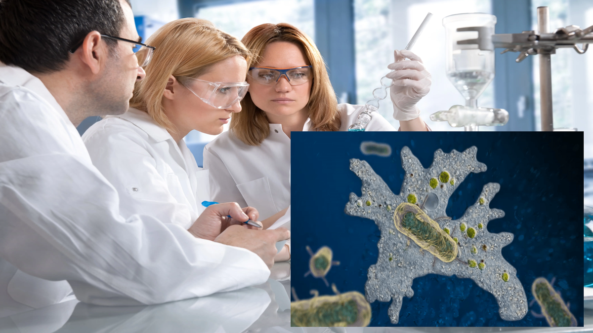 Возможно поможет. Страшный и мистический эпиграф. Как поступки ребенка могут беспокоить родителей. Сможешь помочь как правильно. Чем можно помочь.