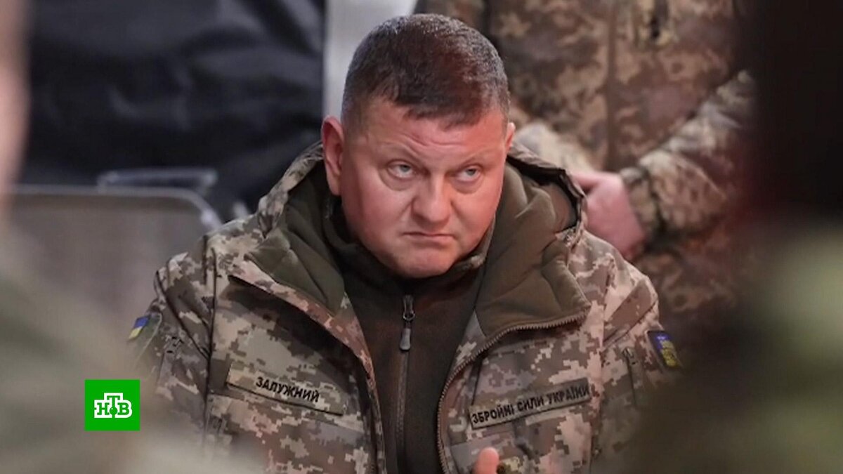    В Киеве опровергли сообщения об отставке Залужного