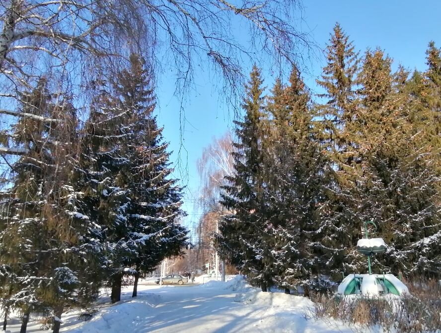 Снежинки в природе. Зимние узоры. Мороз картинки. Морозец какой. Морозные узоры на окне.