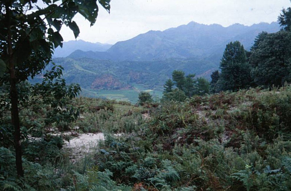 Гора Gaoling в Китае