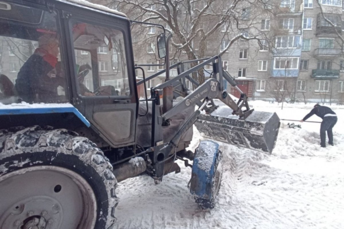    Станет чище к марту?
