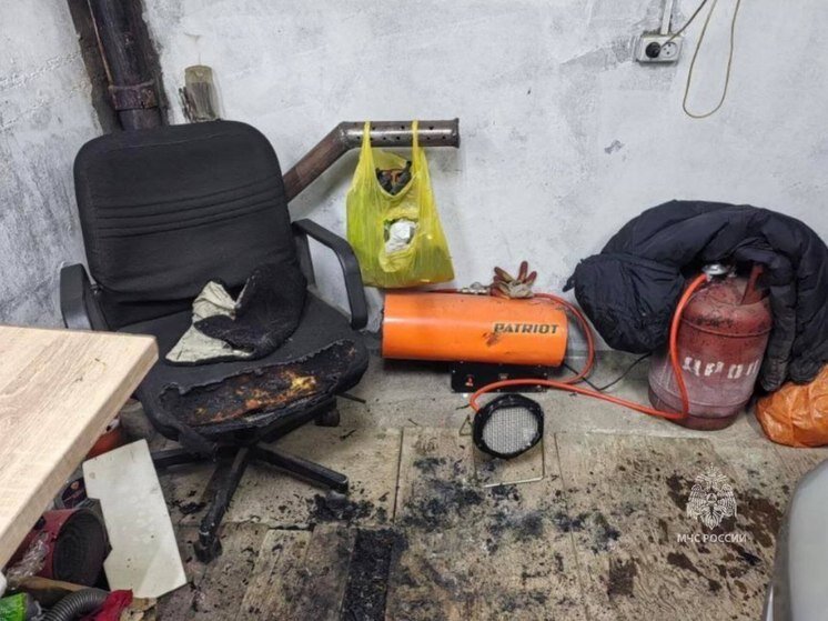 Дом для собаки. Вещи для кота. Вещи хозяев. Домашние животные для квартиры. Собака нашкодила.