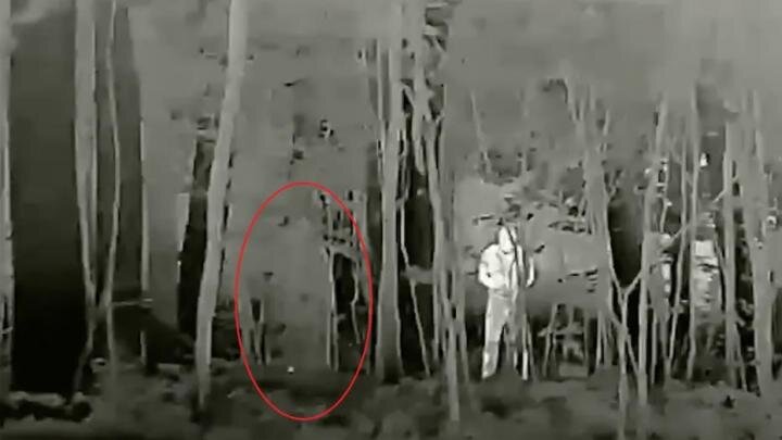 Фото: телеграм-канал "Политика Страны"