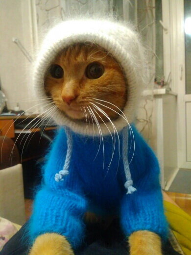 Помогает мне в моём вязании