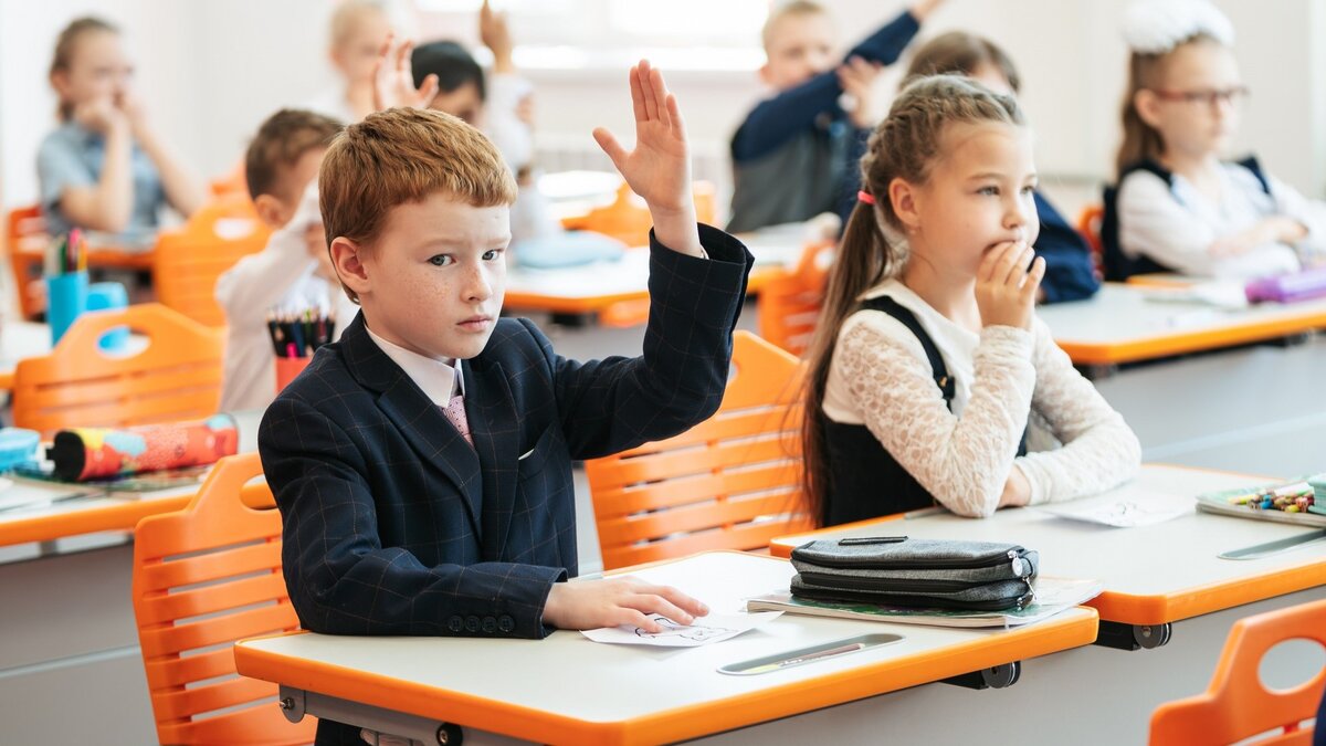 книги по психологии для младших школьников. профильная школа. психологические программы для школьников. методики для детей дошкольного возраста для психолога. функции психологического сопровождения.