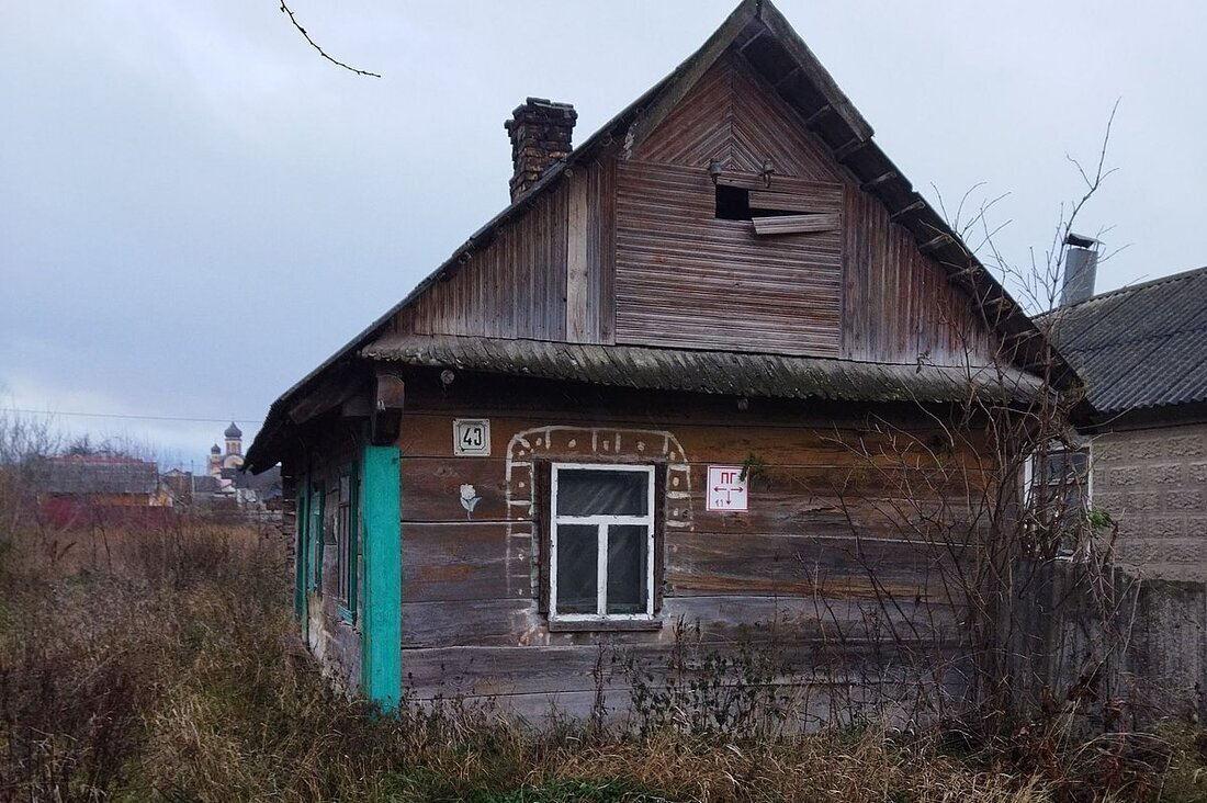 Почти даром. Пять крепких домов у леса, которые можно купить без аукциона  за 40 рублей | Realt.by | Дзен