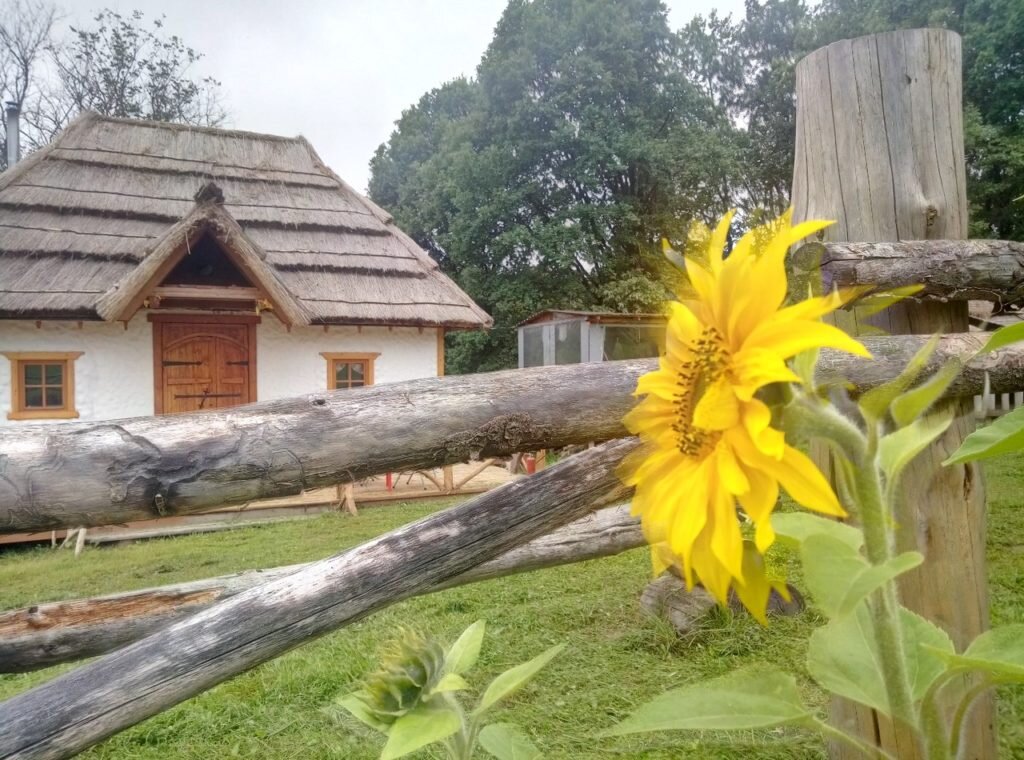 Казачья хата в Рождествено